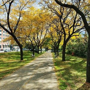 Meet your Posher, Robin